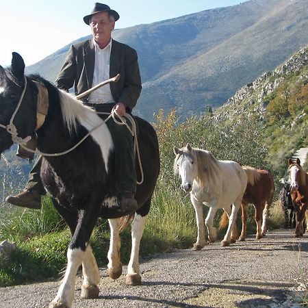 Вилла Il Nido Dei Gemelli Формия Экстерьер фото